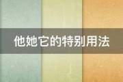 他的作用是什么 网站优化SEO是什么 (他的作用是什么)