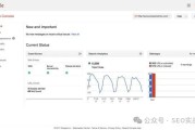 GoogleSEO的重要性：如何通过优化提升网站流量与品牌知名度