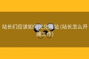 站长们应该如何优化网站 (站长怎么开展工作)
