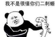 二次元文化：你所不知道的虚拟世界