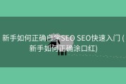 新手如何正确自学SEO SEO快速入门 (新手如何正确涂口红)