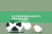 华为手机怎样封锁adb调试 (华为手机怎样放大字体)