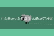 什么是swot分析法 (什么是sW0T分析)
