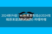 2024新升级！wpk有没有挂@2024攻略原来是真的有挂的-哔哩哔哩