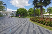 传统企业逆袭机会在抖音，错过可能再无机会，抖音 SEO 服务公司也需重视