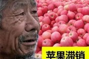 谁能帮我贴一下西方神起唱的oasis的歌词 韩语和中文的 (谁能帮我贴一个贴纸)