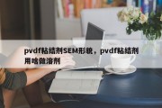 pvdf粘结剂SEM形貌，pvdf粘结剂用啥做溶剂