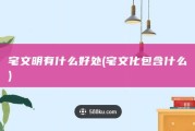 宅文明有什么好处 (宅文化包含什么)