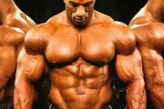 strong strong ol 提升网站排名 li SEO优化的好处 (strong中文翻译)