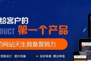 百度SEO和谷歌SEO的区别 (百度seo和伪原创是一样的吗)