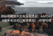 揭秘攻略微扑克有没有透视，AAPOKER原来有挂的（有挂教程）-哔哩哔哩