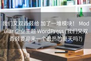 我们又双叒叕给 加了一堆模块！ Modular 企业主题 WordPress (我们又双叒叕要迎来一个最热的夏天吗?)