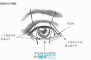 二次元人物眼睛画法教程：深入解析眼睛结构与绘画技巧