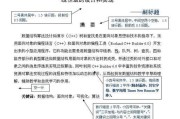 论文包括哪几部分 (论文包括哪几种形式)