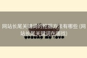 网站长尾关键词的挖掘方法有哪些 (网站长尾关键词在哪找)