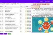 网站引擎优化有哪些成功案例 (网站引擎优化怎么做)