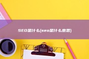 SEO是什么 (seo是什么意思)