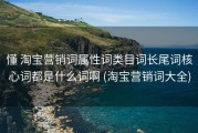 懂 淘宝营销词属性词类目词长尾词核心词都是什么词啊 (淘宝营销词大全)