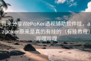 我来分享WePoKer透视辅助软件挂，aapoker原来是真的有挂的（有挂教程）-哔哩哔哩