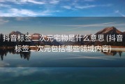 抖音标签二次元宅物是什么意思 (抖音标签二次元包括哪些领域内容)