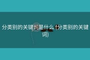 分类别的关键词是什么 (分类别的关键词)