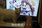 杨超越和小白撞脸，二次元角色与三次元明星相似度极高