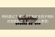 明码遗记了 哪位高手知道灰鸽子明码的加密的算法 (明码什么意思)