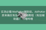 实测必看!WePoKer辅助挂，AAPoKer原来确实有挂的，详细教程（有挂辅助器）-哔哩哔哩