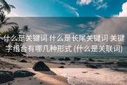 什么是关键词 什么是长尾关键词 关键字组合有哪几种形式 (什么是关联词)