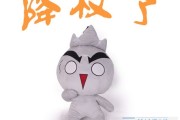 灰帽和黑帽黑客 什么是白帽 黑客词典