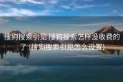 搜狗搜索引见 搜狗搜索怎样没收费的了 (搜狗搜索引见怎么设置)