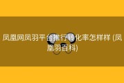 凤凰网凤羽平台推行转化率怎样样 (凤凰羽百科)