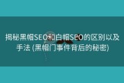 揭秘黑帽SEO和白帽SEO的区别以及手法 (黑帽门事件背后的秘密)