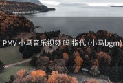 PMV 小马音乐视频 吗 指代 (小马bgm)