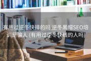 有用过逆冬快排的吗 逆冬黑帽SEO培训是骗人 (有用过逆冬快线的人吗)