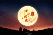 双节快乐！外贸人咨询网站数据？用SEOquake轻松搞定