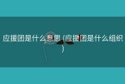 应援团是什么意思 (应援团是什么组织)