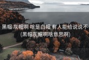黑帽 灰帽啊 啥是白帽 有人能给说说不 (黑帽灰帽啊啥意思啊)