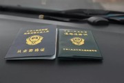 游览司机须要什么条件 (游览司机须要准备什么)