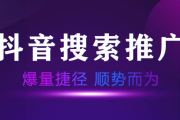 抖音SEO费用解析：自主优化与专业服务成本对比及发布时机选择