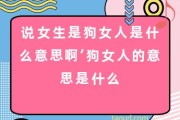 是什么意思? 重定向 (是什么意思?怎么读?)