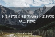 上海彼亿营销托管怎么样 (上海彼亿营销工作体验)