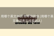 用哪个英文单词 频率快的快 (用哪个英文单词表示纯爱的人)