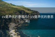 cv是声优的意思吗? (cv是声优的意思吗)