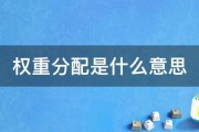 什么是权重分 (什么是权重分配)