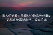 家人们速看！黑帽SEO静态养权重站站群系统震撼出世，效率拉满