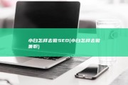 小白怎样去做SEO (小白怎样去做兼职)