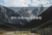 搜外(夫唯)seo视频教程