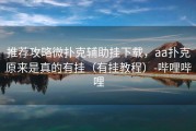 推荐攻略微扑克辅助挂下载，aa扑克原来是真的有挂（有挂教程）-哔哩哔哩