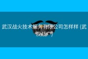 武汉战火技术服务有限公司怎样样 (武汉战广)